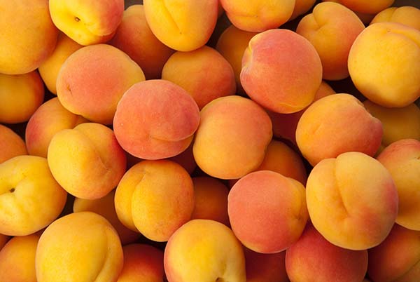 apricot