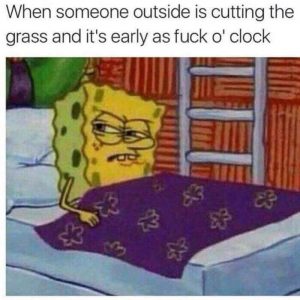 memes : cutting grass