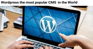 WordPress popularity in the world