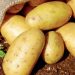 potato in anus