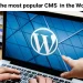 WordPress popularity in the world